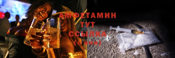 мдпв Богданович