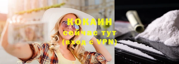 мдпв Богданович