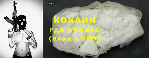 молекула духа Богородицк