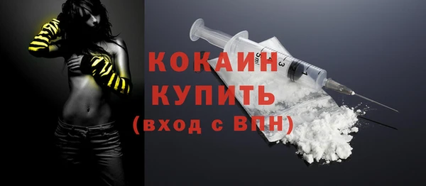 молекула духа Богородицк
