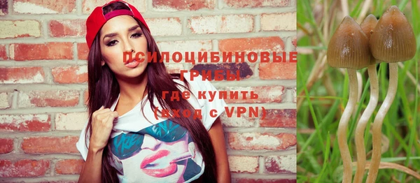 spice Бугульма