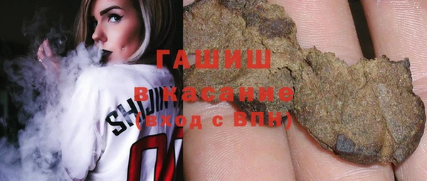 молекула духа Богородицк