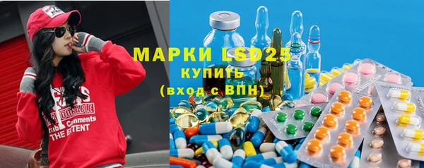 молекула духа Богородицк