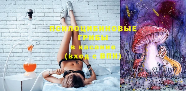 молекула духа Богородицк