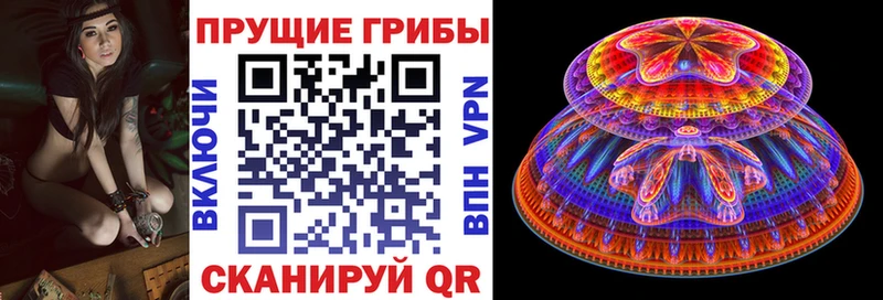Псилоцибиновые грибы GOLDEN TEACHER  даркнет сайт  Гулькевичи 