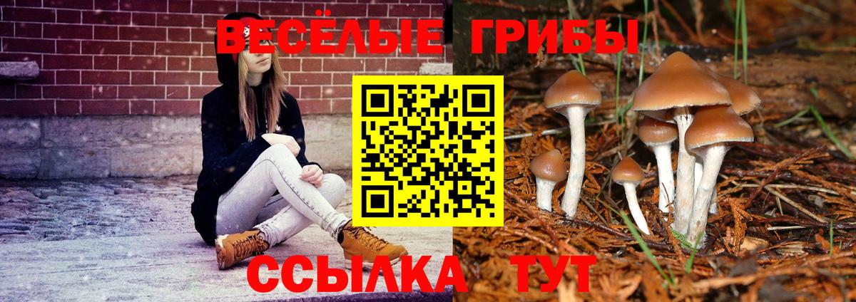 Галлюциногенные грибы прущие грибы  Вход с VPN  Гулькевичи 