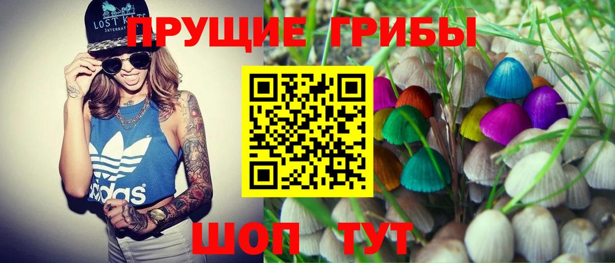 Галлюциногенные грибы ЛСД Гулькевичи